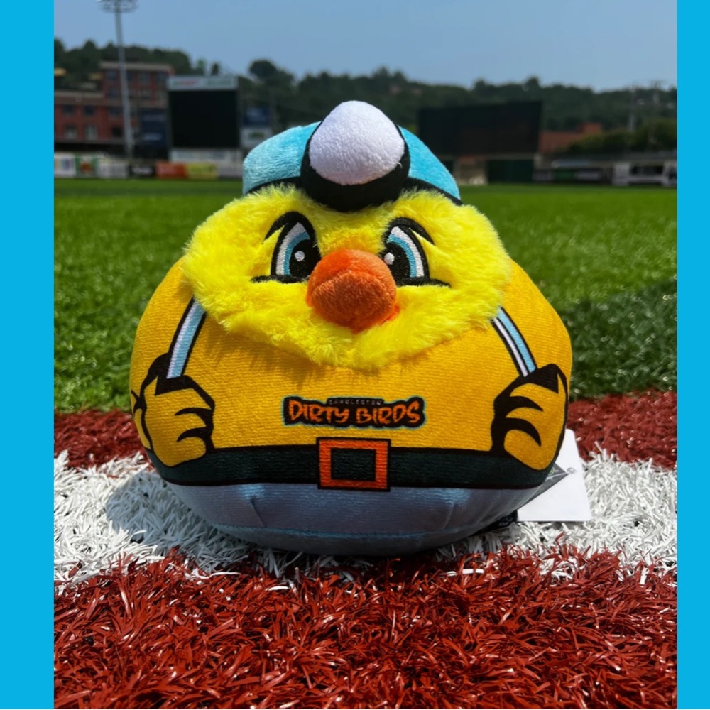 CHARLESTON WV DIRTY BIRDS DUSTY MASCOT PLUSH